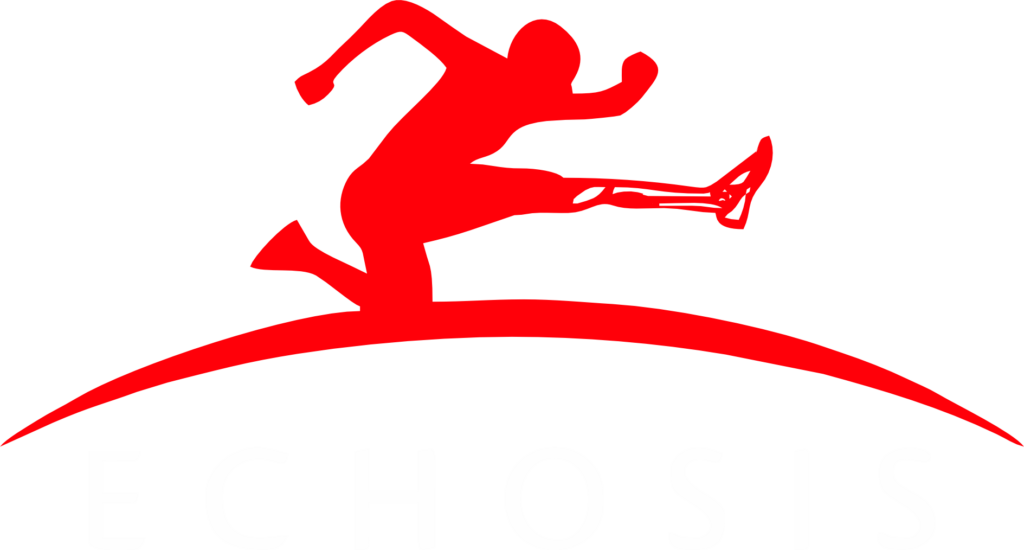logo echosis